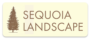 Sequoia Landscape logo